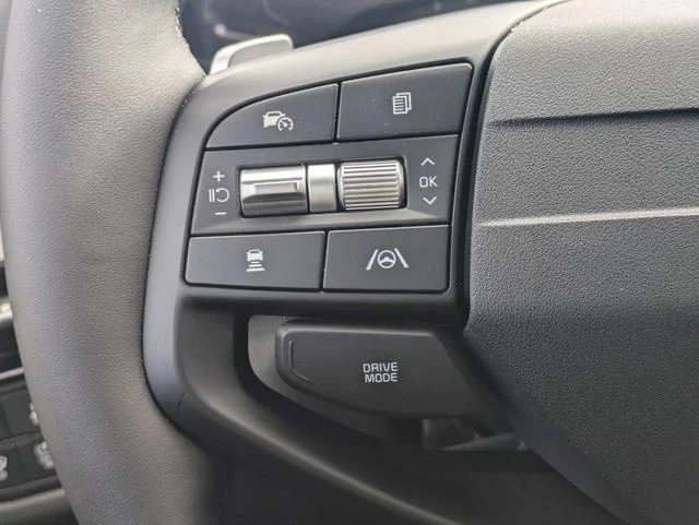 New 2026 Panthera Metal Kia X-Pro Prestige image 24
