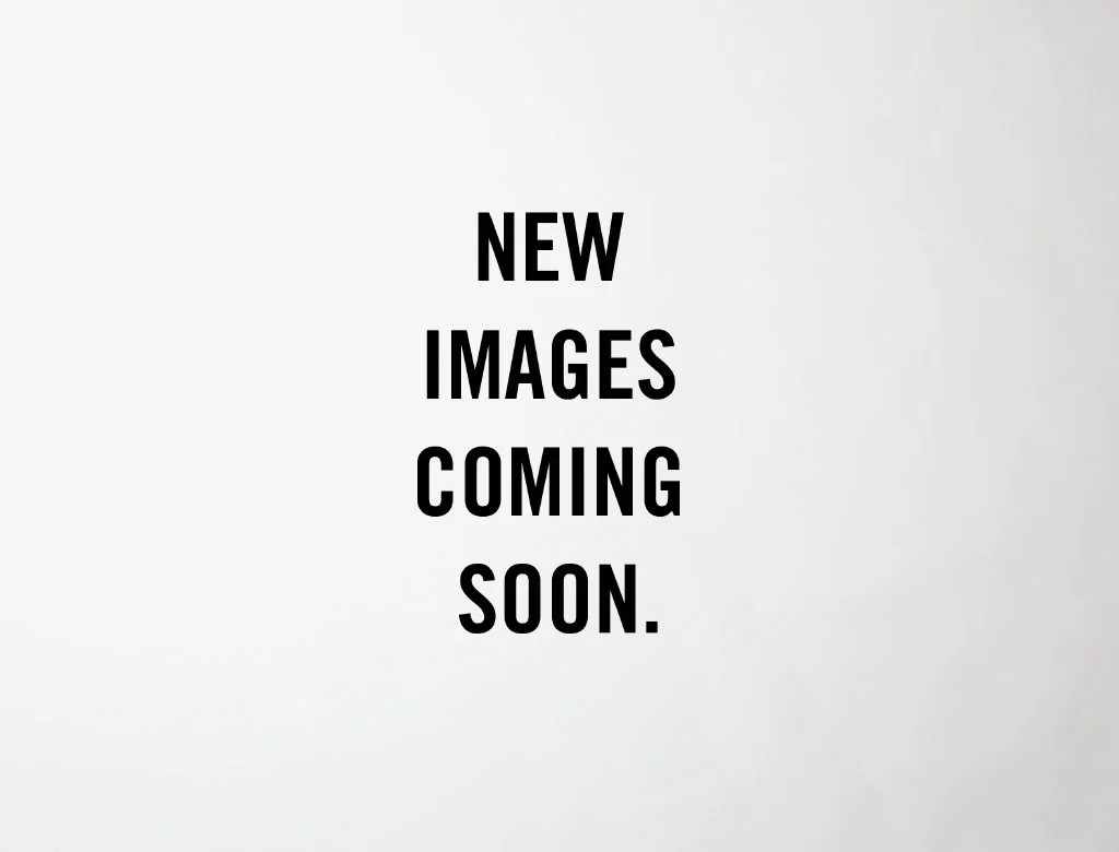 Used 2000 Silver Pontiac M16 image 5