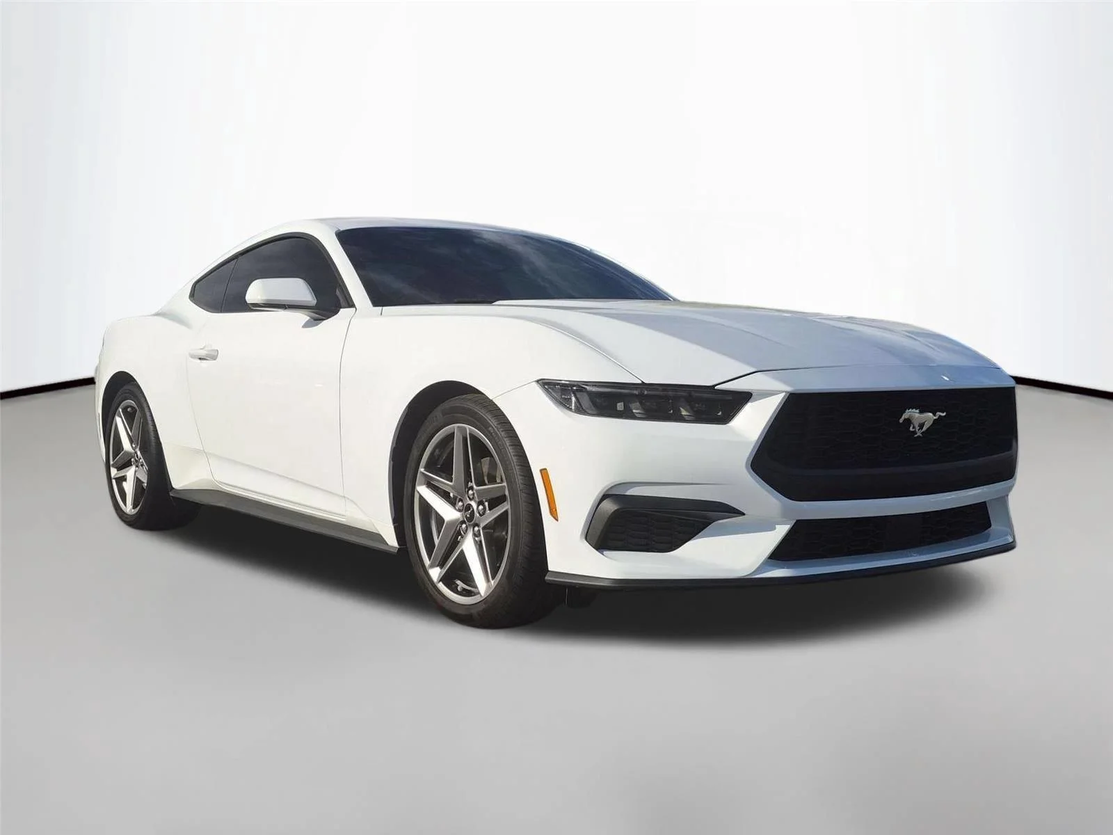 Used 2025 Oxford White Ford EcoBoost image 7