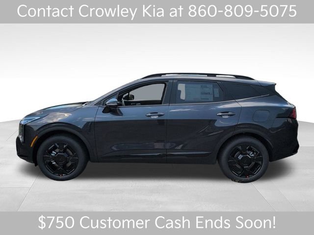 New 2026 Panthera Metal Kia X-Line image 7
