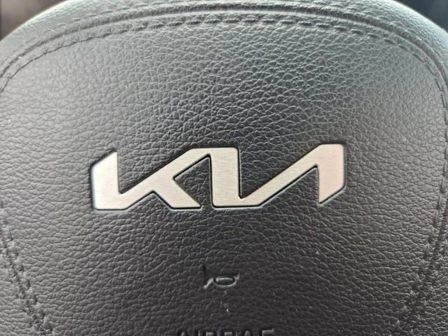 Used 2025 Panthera Metal Kia S image 32