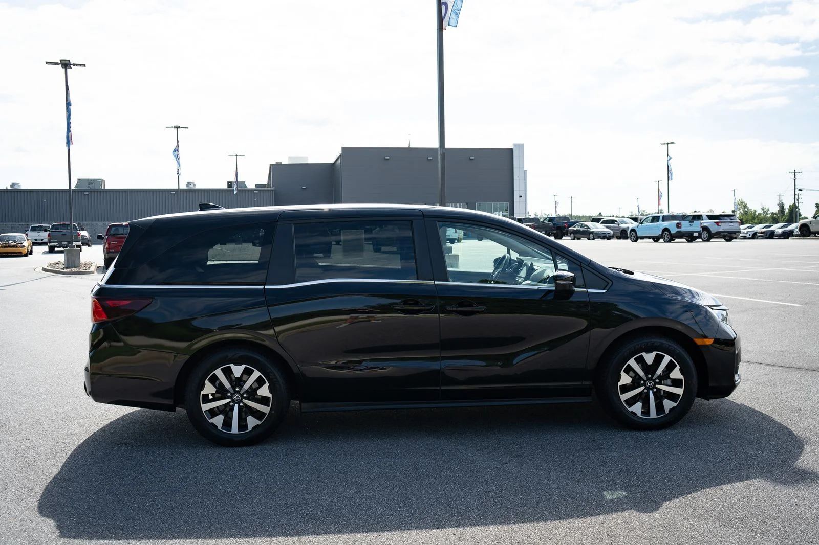 Used 2025 Black Honda EX-L image 11