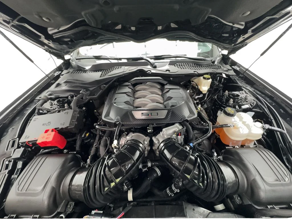 Used 2024 Black Ford GT Premium image 19