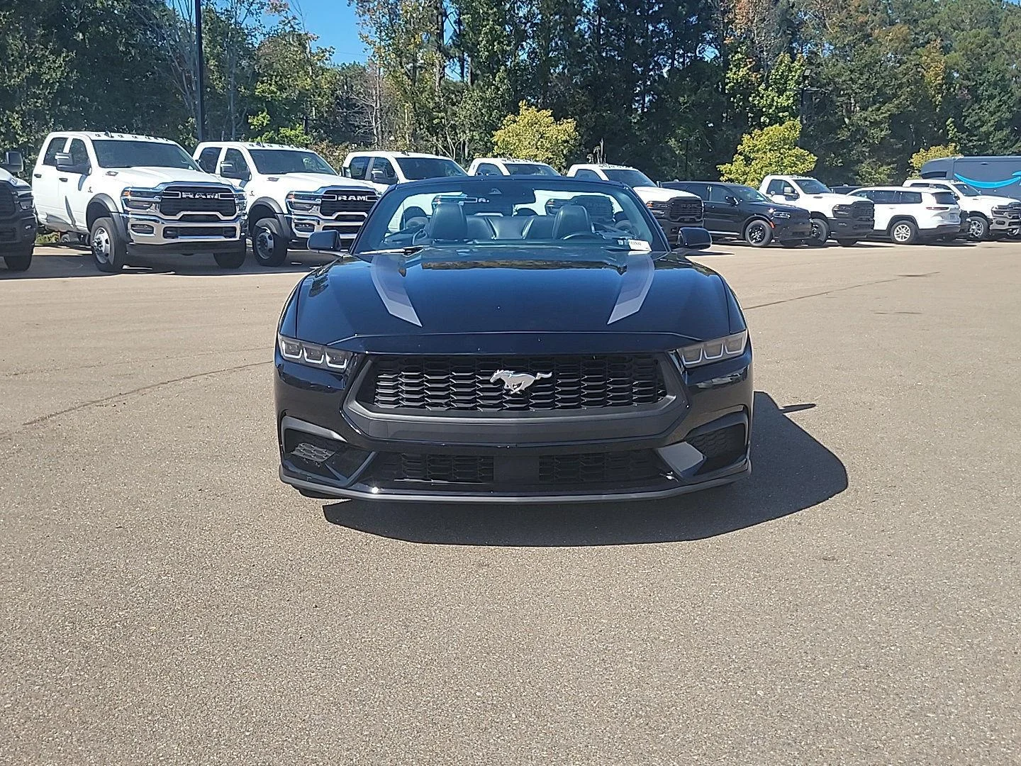 Used 2024 Shadow Black Ford EcoBoost Premium image 23
