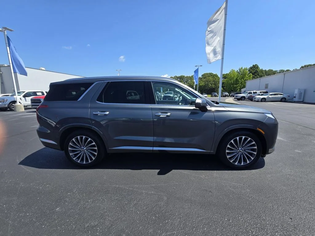Used 2024 Steel Graphite Hyundai Calligraphy image 4