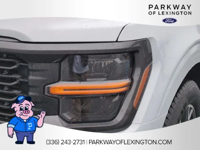 Used 2025 White Ford STX image 9