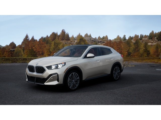 2026 BMW X2 xDrive28i's photo
