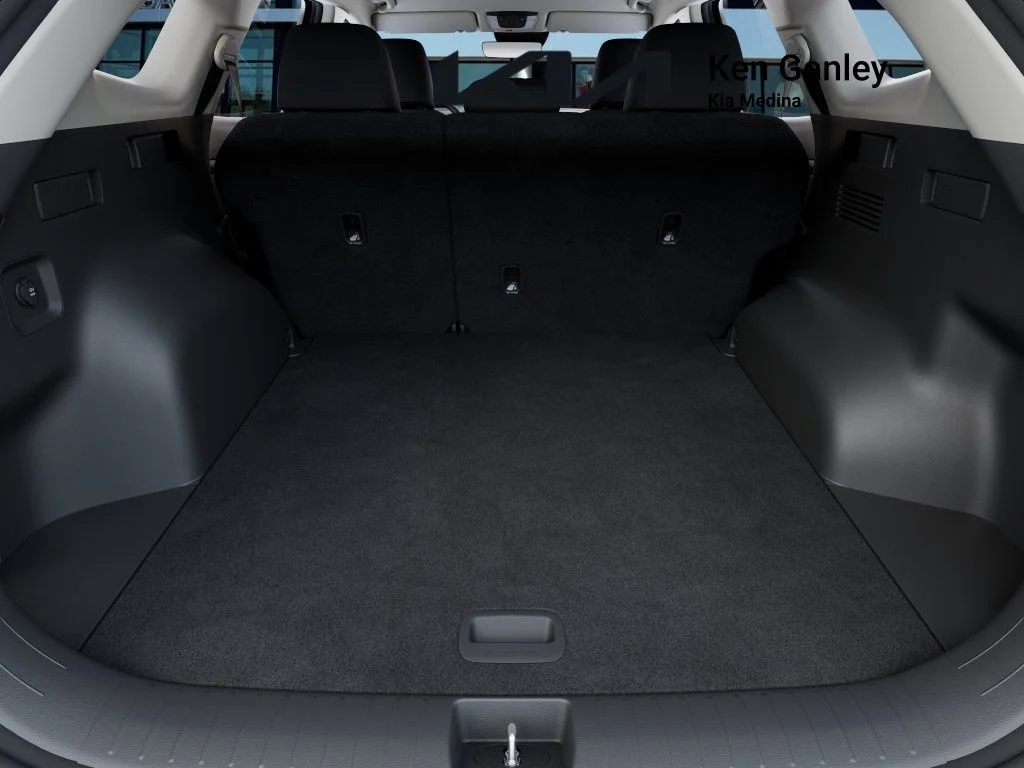 New 2026 Panthera Metal Kia LX image 19