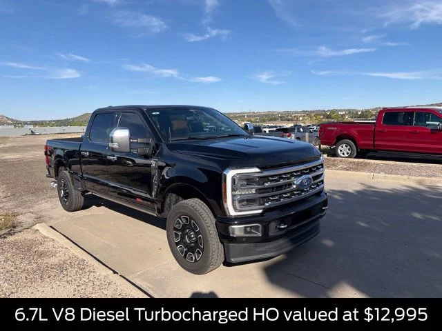 Used 2024 Black Ford Platinum image 3