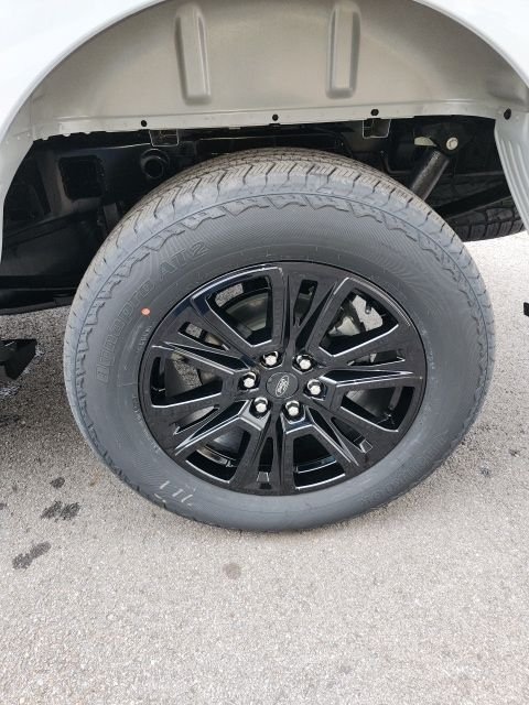 2025 Ford F-150 Platinum - Photo 10