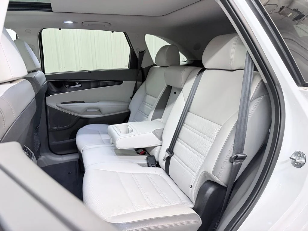Used 2019 Snow White Pearl Kia SX image 30