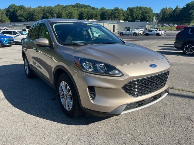Used 2020 Desert Gold Metallic Ford SE image 3