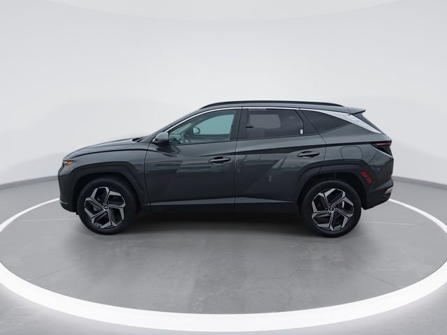 Used 2022 Gray Hyundai SEL Convenience image 5