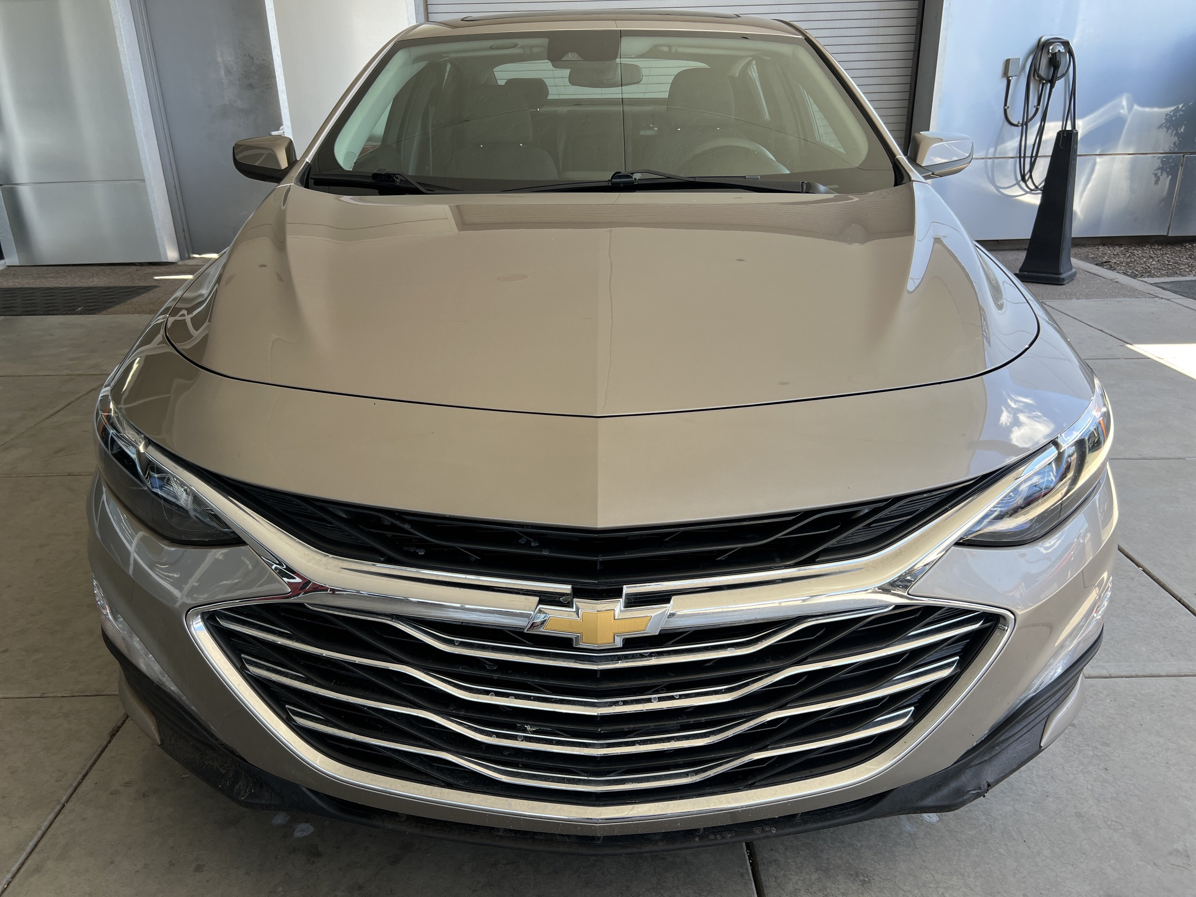 Used 2023 Chevrolet Malibu 1LT with VIN 1G1ZD5ST3PF243950 for sale in Thatcher, AZ
