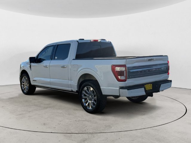 Used 2021 White Ford Limited image 7