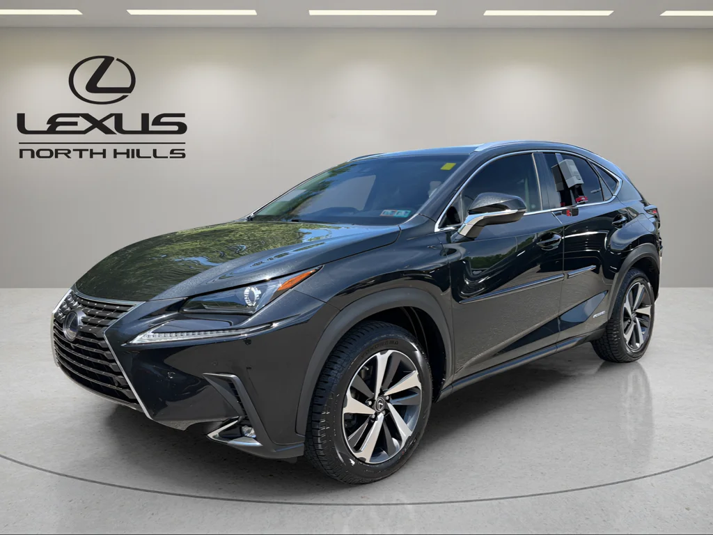 2019 Lexus NX 350h 300h AWD's photo