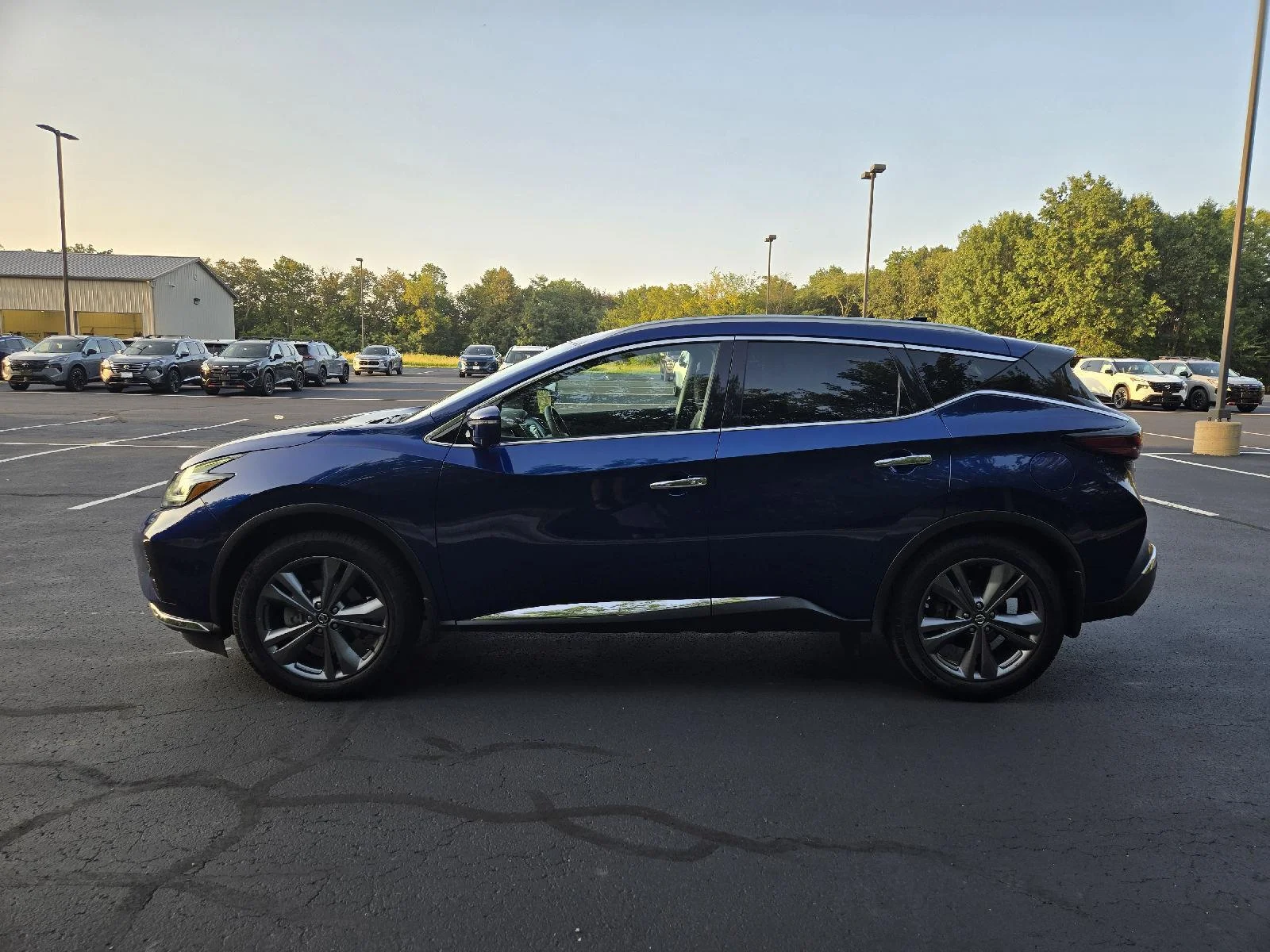 Used 2021 Deep Blue Pearl Nissan Platinum image 5