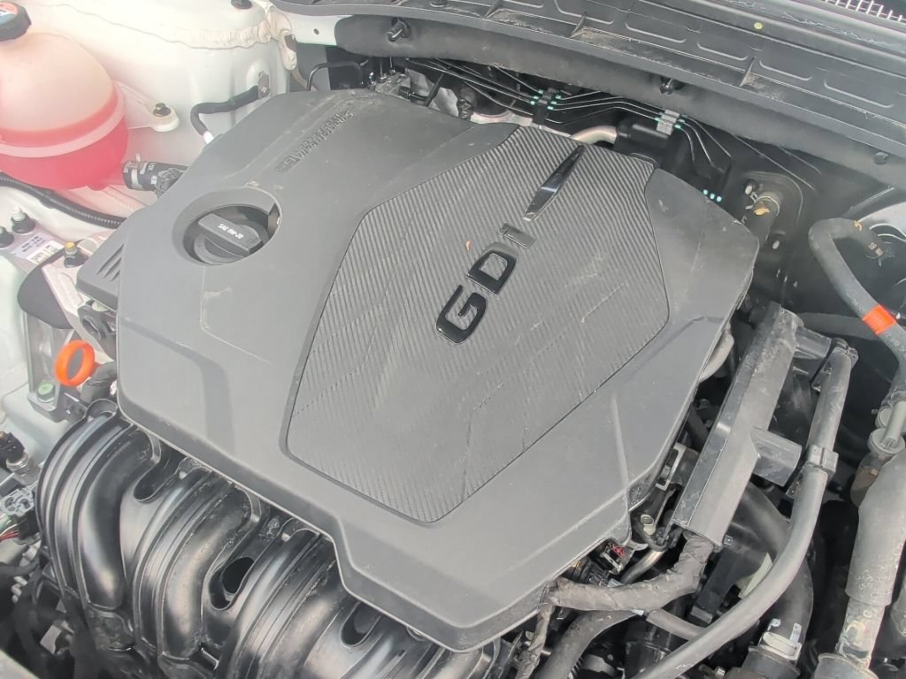 Used 2023 Serenity White Pearl Hyundai SEL image 14