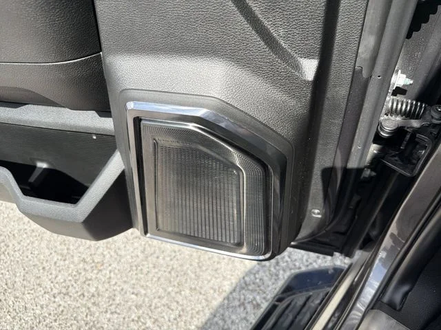 Used 2024 Gray Ram Limited image 21