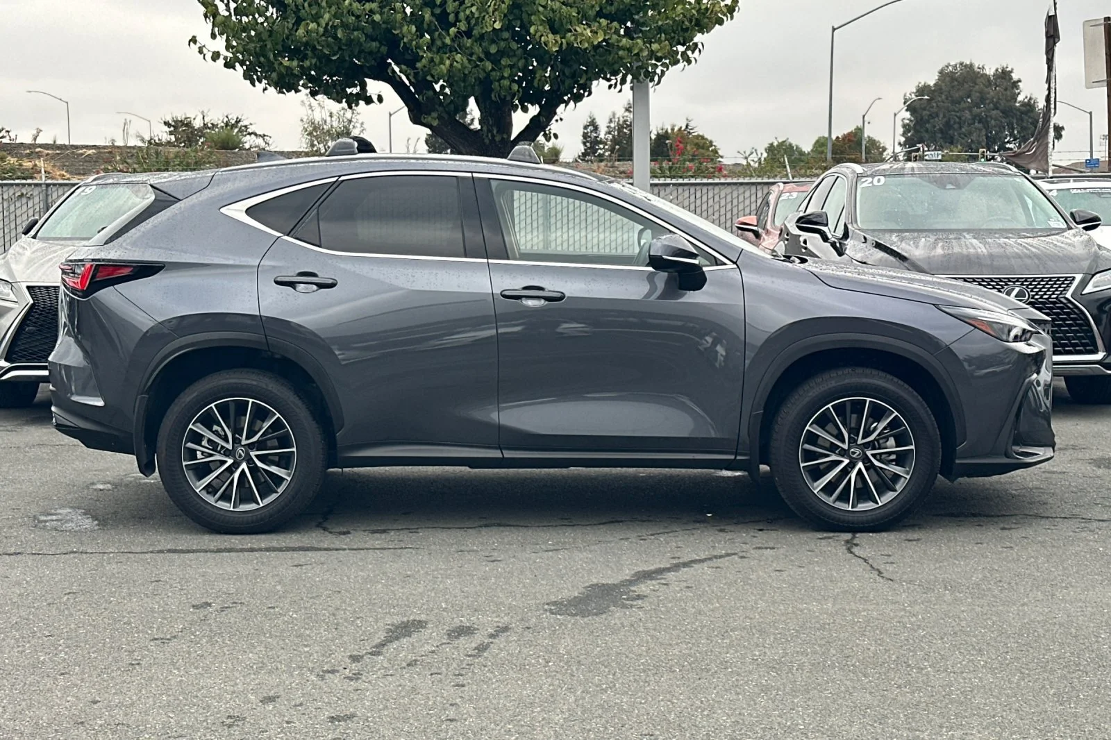 Certified Used 2026 Gray Lexus 350h Premium image 3