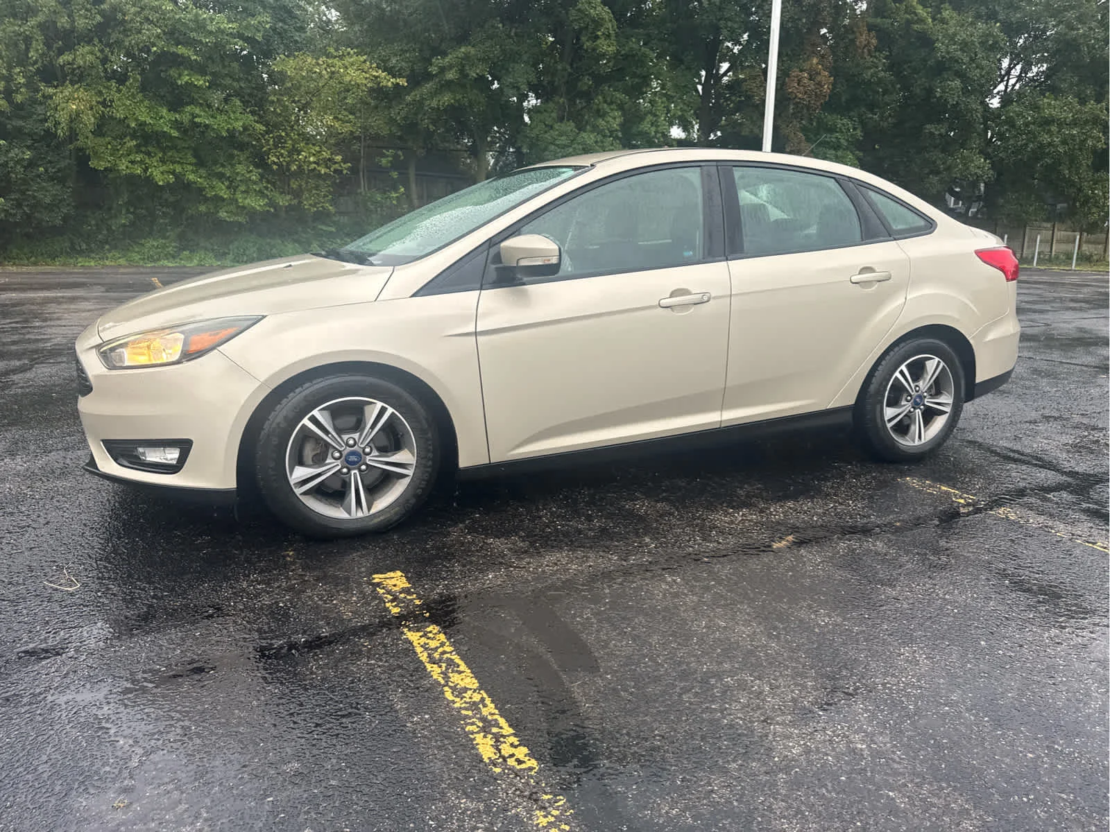 Used 2017 Ford Focus SE with VIN 1FADP3FE2HL339781 for sale in Cleveland Heights, OH