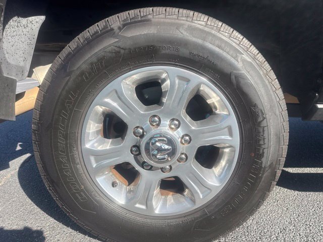 Used 2024 Black Ram Big Horn image 6