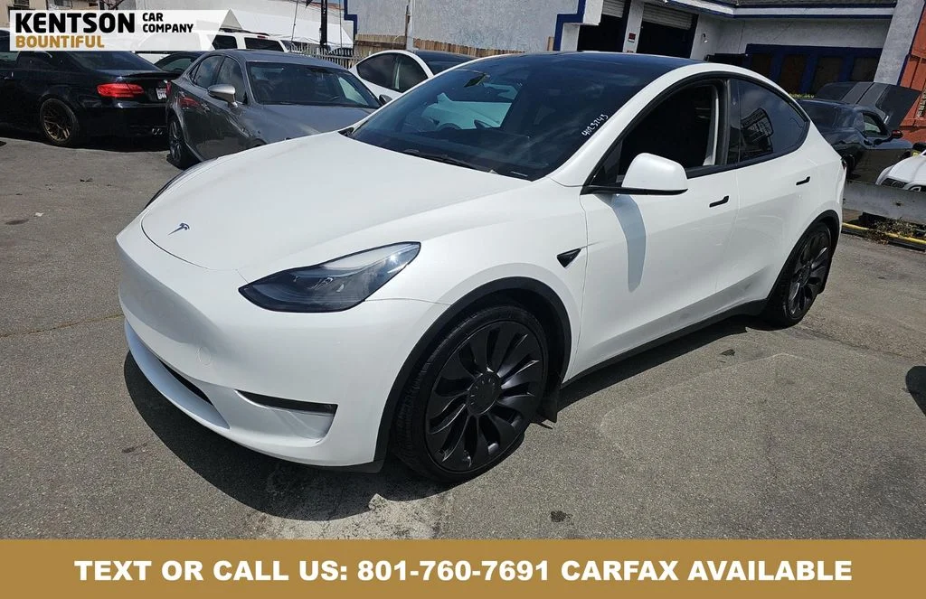 2023 Tesla Model Y Performance Dual Motor All-Wheel Drive's photo