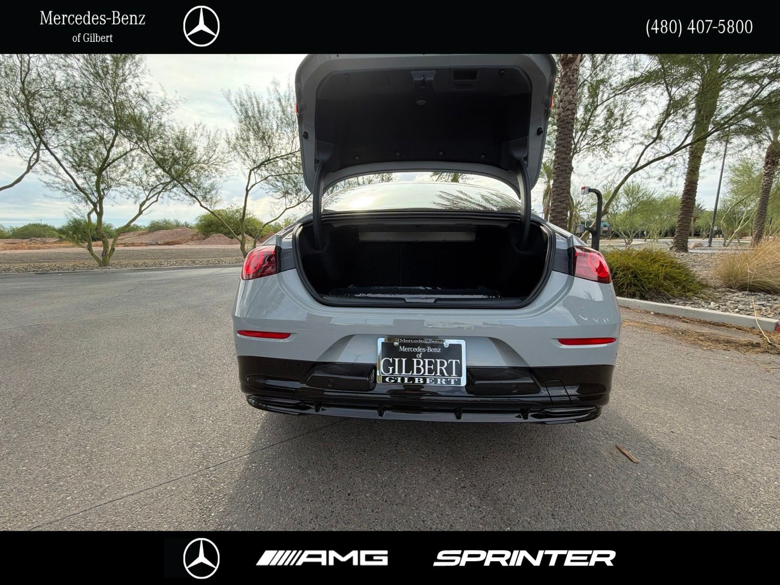 New 2027 MANUFAKTUR Alpine Grey Mercedes-Benz 220 image 8