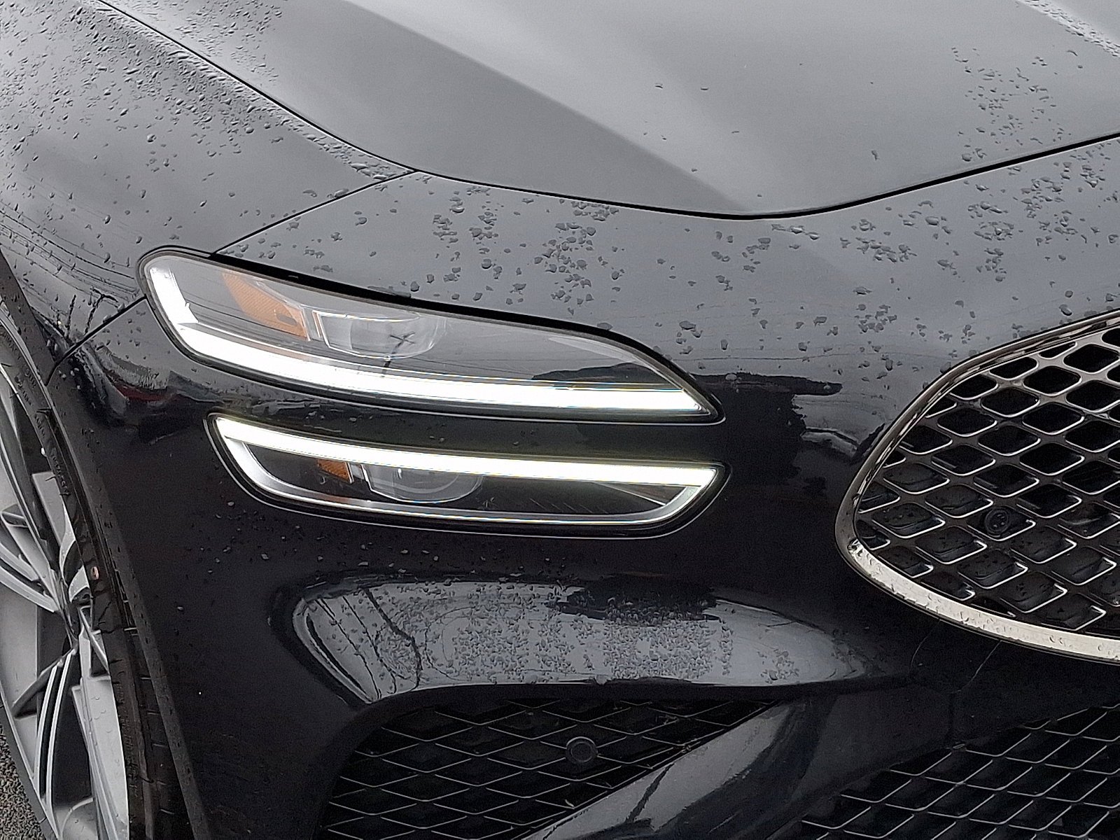 New 2024 Vik Black Genesis 2.5T image 9