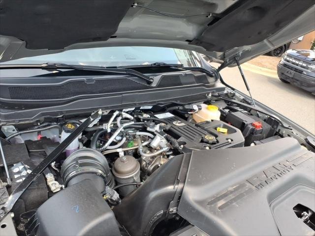 New 2026 Ceramic Gray Clearcoat RAM Black Express image 27