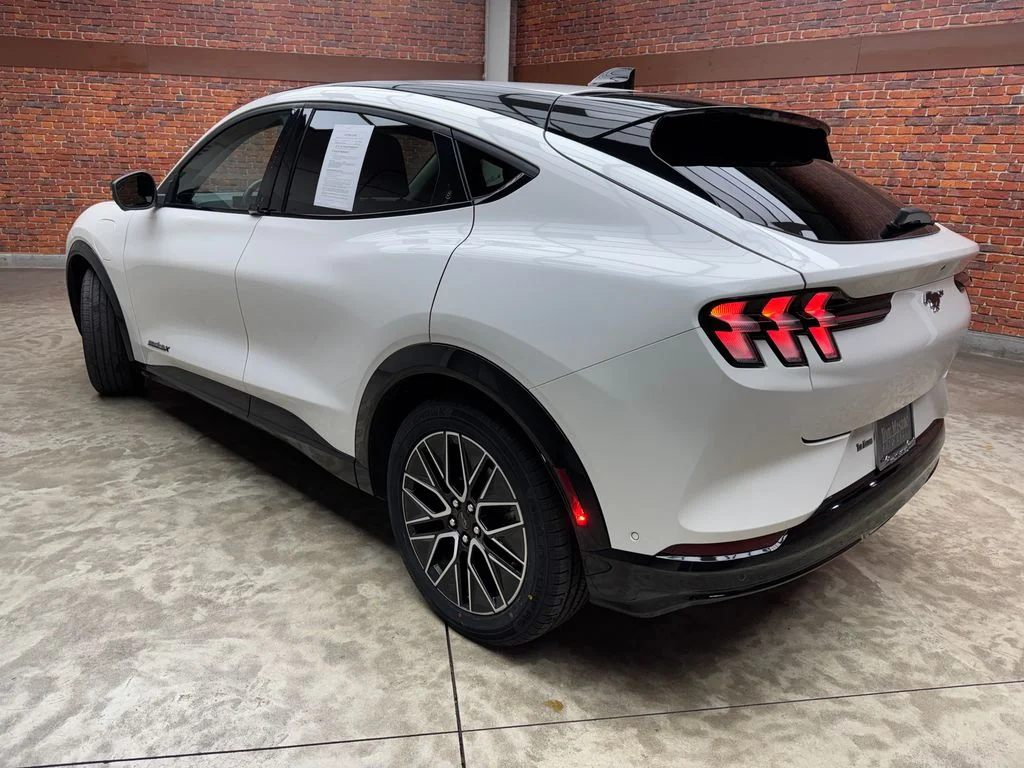 Used 2024 Ford Mustang Mach-E Premium AWD with VIN 3FMTK3SU2RMA06462 for sale in Reading, PA
