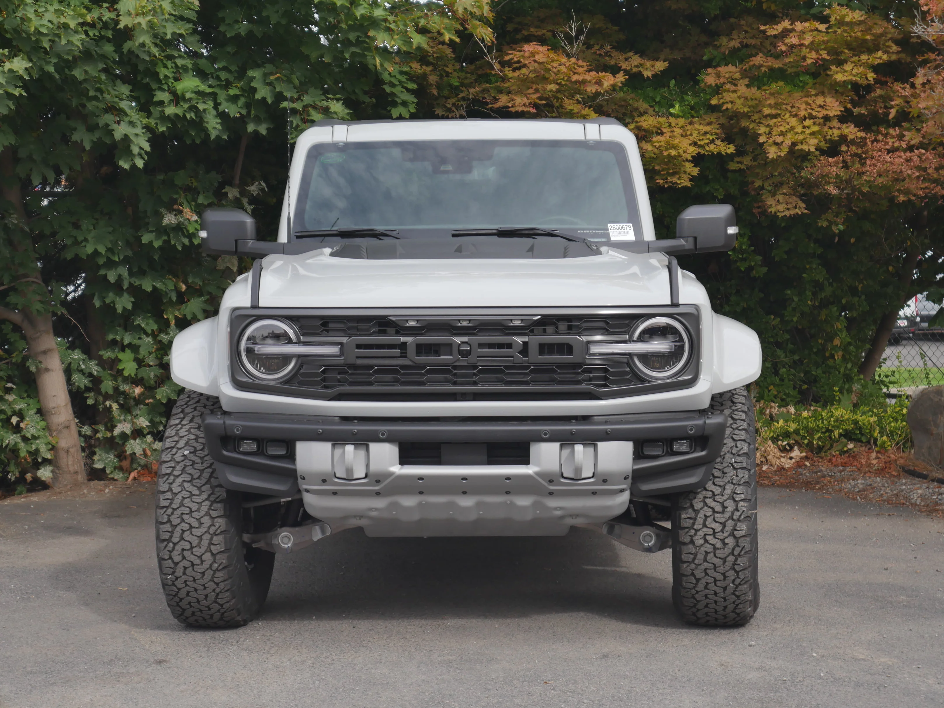 New 2026 Avalanche Gray Ford Raptor image 38
