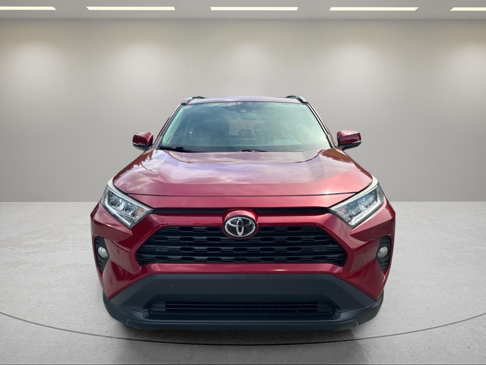 2019 Toyota RAV4 XLE Premium - Photo 9