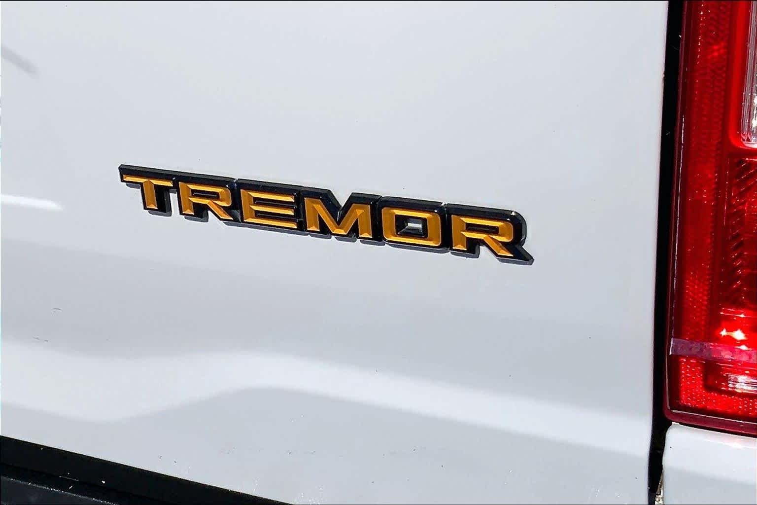 Used 2023 Avalanche Ford Tremor image 10