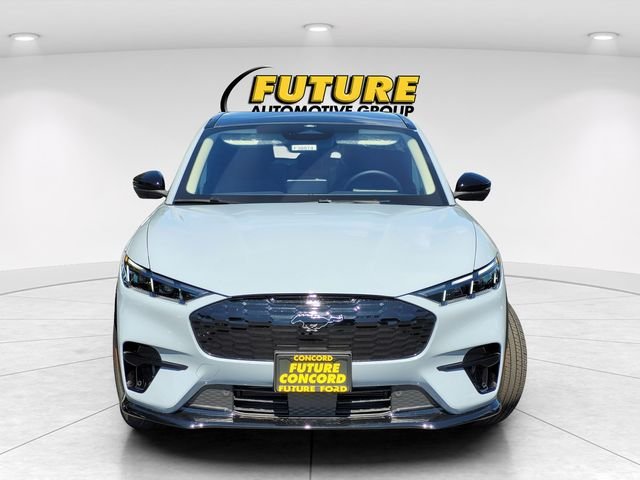 New 2025 Glacier Gray Metallic Tri-coat Ford Premium image 25