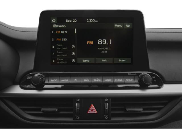 Used 2019 Aurora Black Kia FE image 13