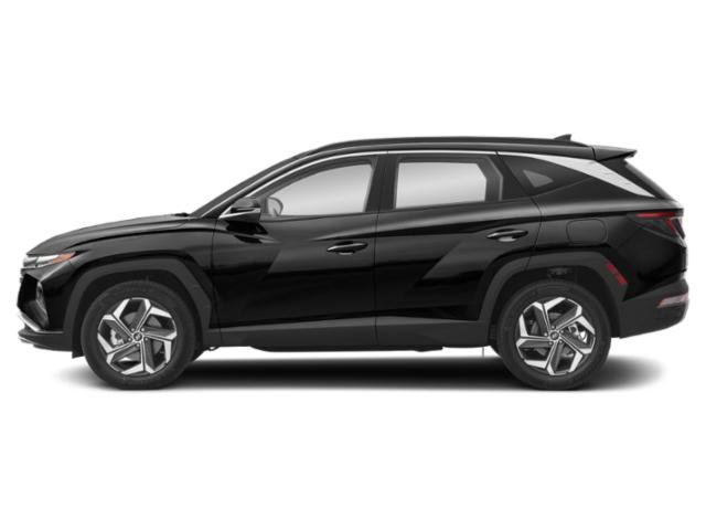 Used 2024 Black Pearl Hyundai Limited image 3