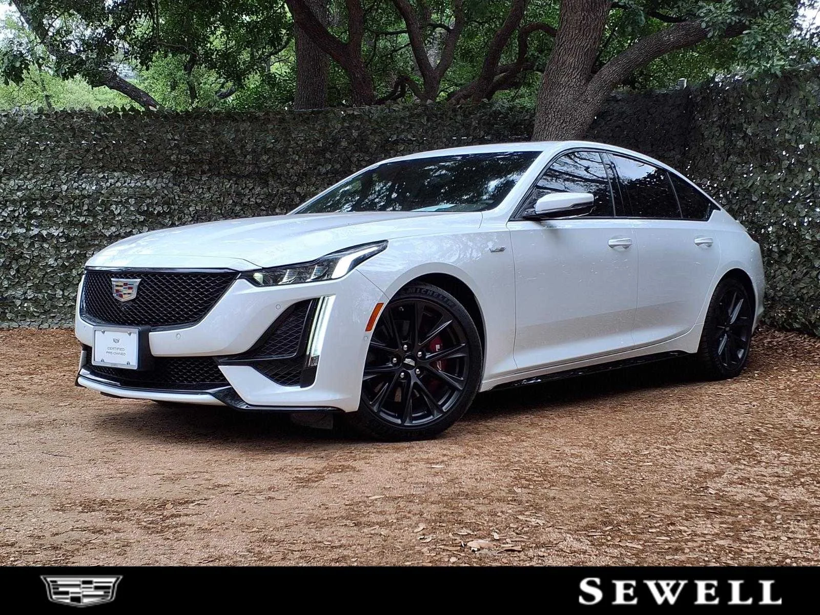2023 Cadillac CT5 V-Series's photo