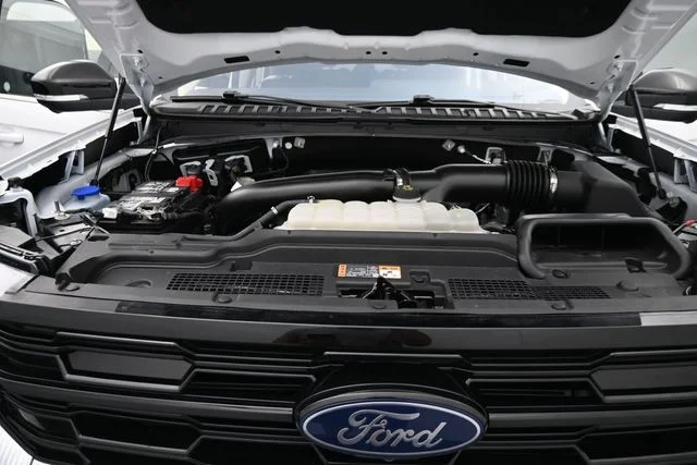 Used 2025 White Ford Platinum image 14
