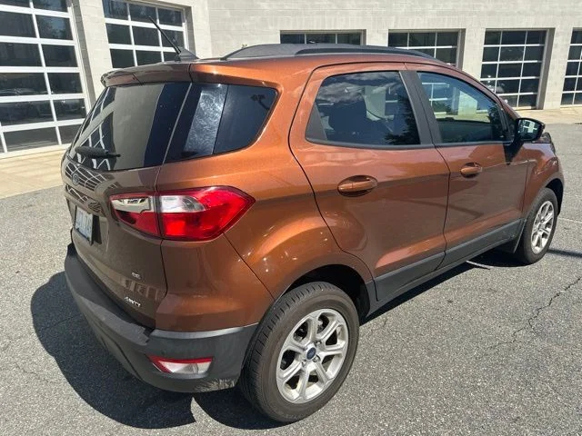 Used 2019 Orange Ford SE image 4