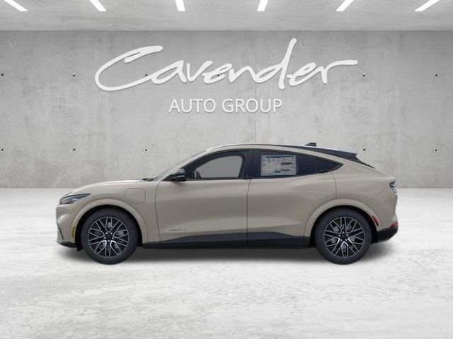 New 2026 Desert Sand Ford Premium image 4