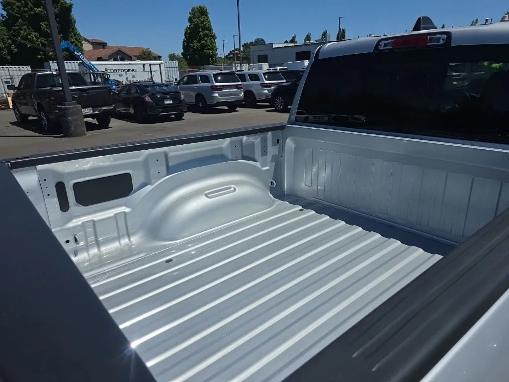 New 2026 Silver Zynith Exterior Paint RAM Express image 12