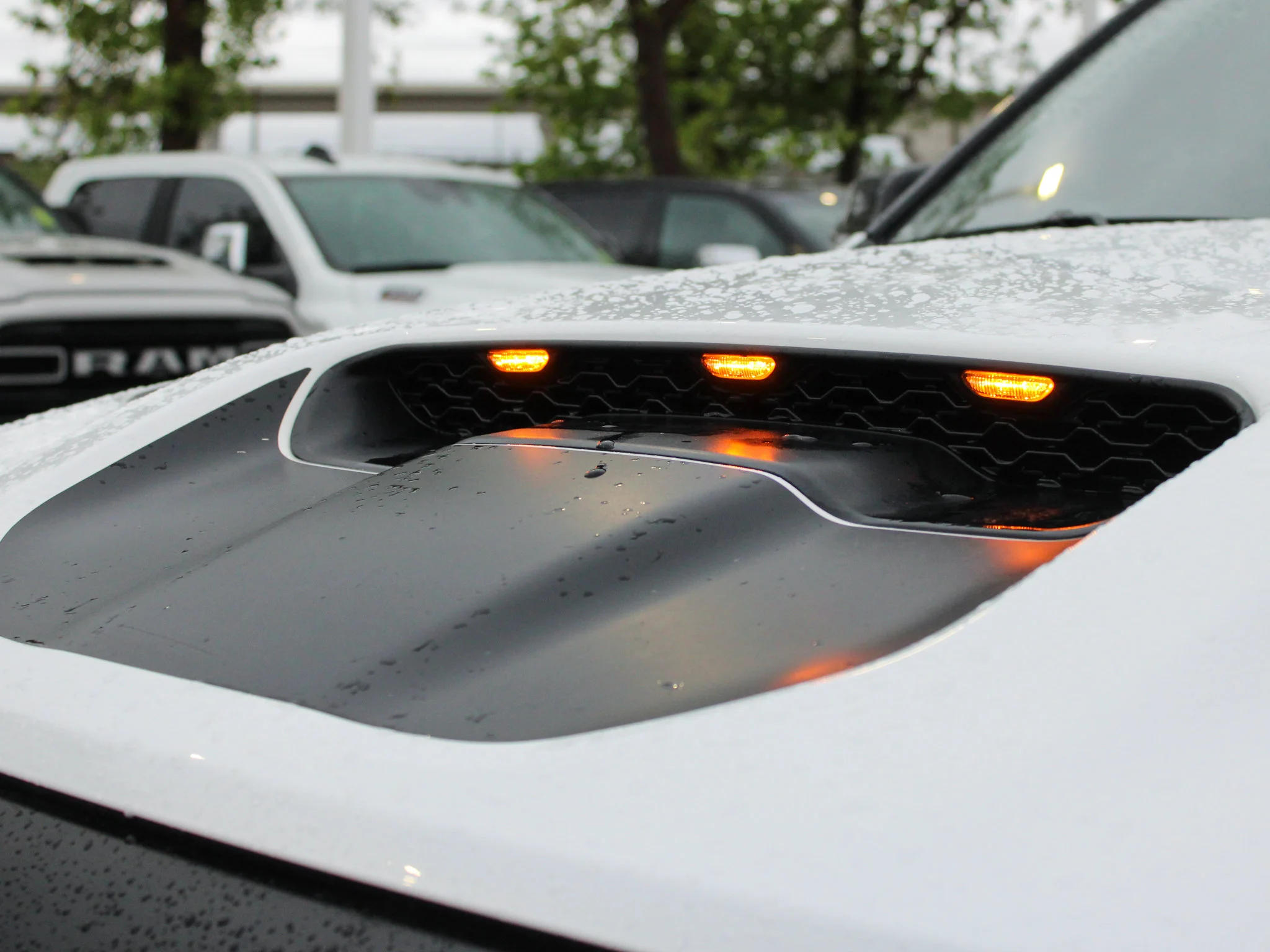 Certified Used 2025 White RAM RHO | Twin-Turbo 540 2.5 LIFT ON 37 TIRES  | Head-Up Display | Bedliner image 14