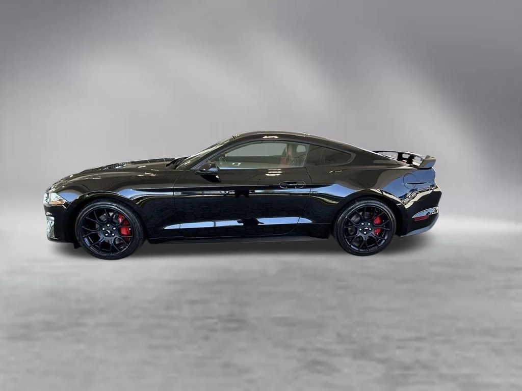 Used 2019 Shadow Black Ford EcoBoost Premium image 8