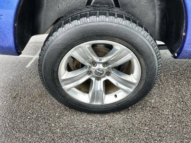 Photo 19