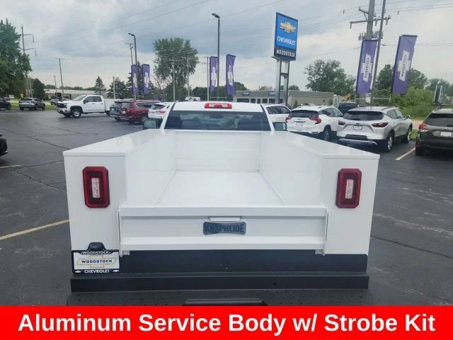 Used 2024 Summit White Chevrolet WT image 7