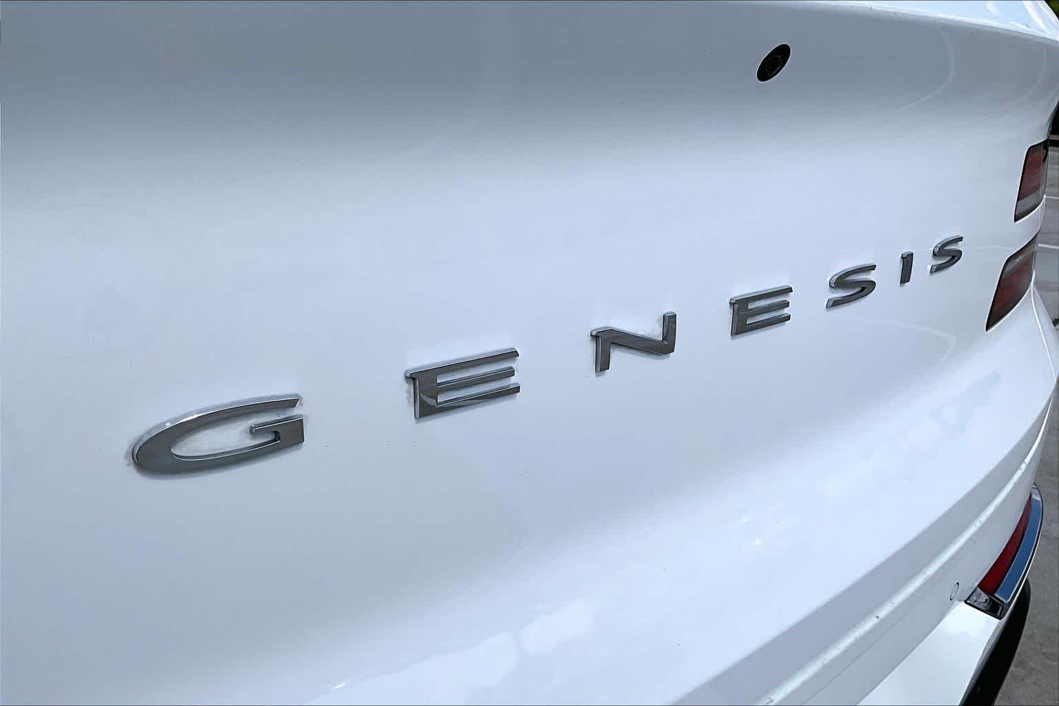 Used 2021 Alta White Genesis  image 10