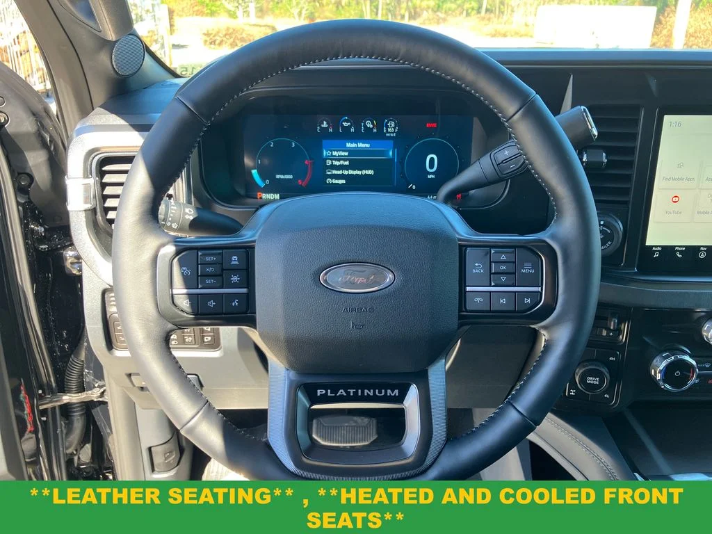 New 2026 Black Ford Platinum image 16
