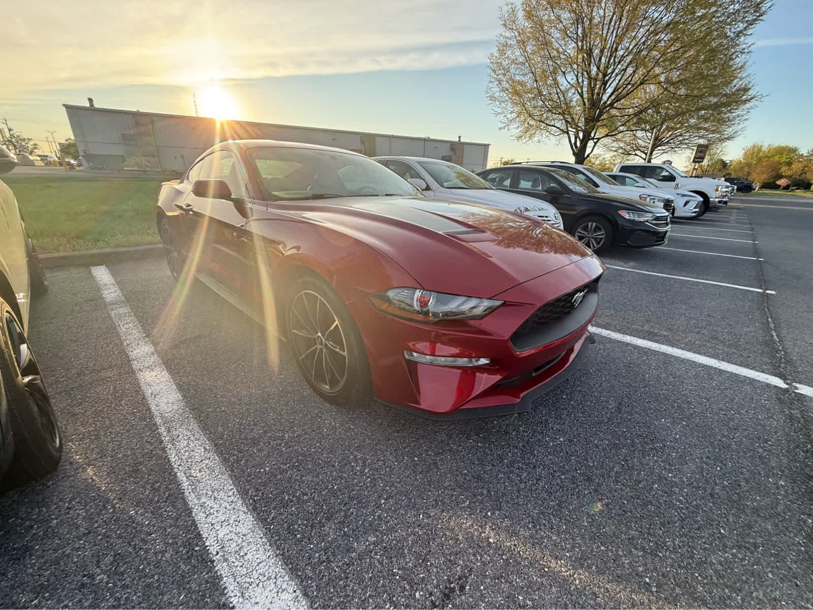 2020 Ford Mustang