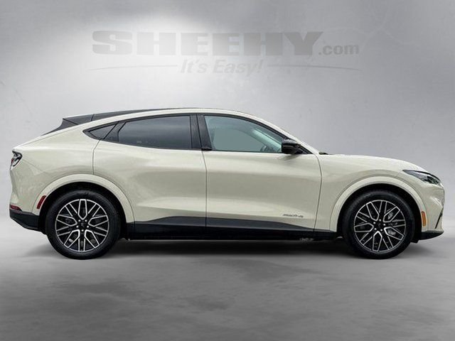 Used 2025 Beige Ford Premium image 7